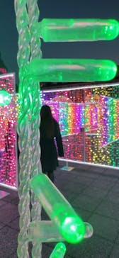 神戸イルミナージュに投稿された画像（2026/1/31）