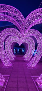 神戸イルミナージュに投稿された画像（2026/1/31）