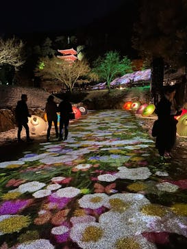 ぎふ灯り物語 ２０２６に投稿された画像（2026/1/31）