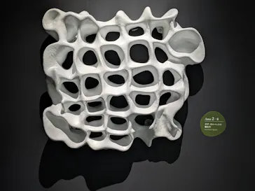 NAKED meets ガウディ展に投稿された画像（2026/1/31）