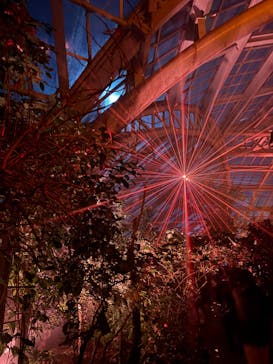 京都府立植物園　LIGHT CYCLES KYOTOに投稿された画像（2026/1/31）