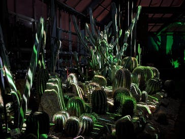 京都府立植物園　LIGHT CYCLES KYOTOに投稿された画像（2026/1/31）