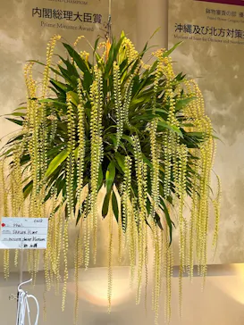 熱帯ドリームセンターに投稿された画像（2026/1/31）
