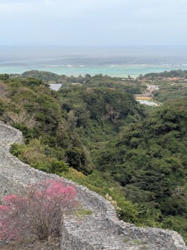 今帰仁城跡に投稿された画像（2026/1/31）