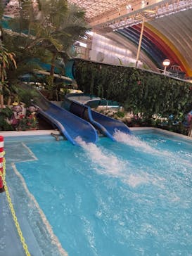 スパリゾートハワイアンズに投稿された画像（2026/1/31）