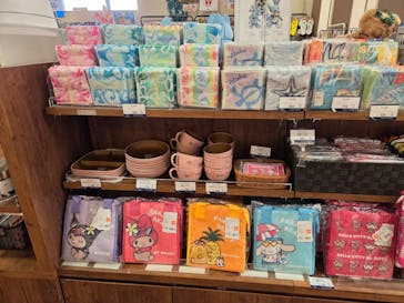 スパリゾートハワイアンズに投稿された画像（2026/1/31）