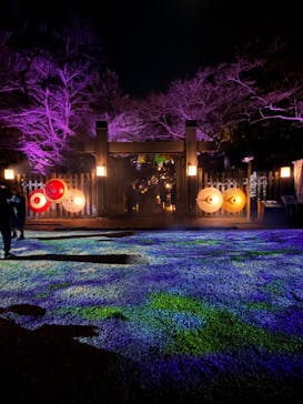 ぎふ灯り物語 ２０２６に投稿された画像（2026/1/31）