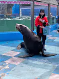 ゼロ距離水族館 伊勢シーパラダイスに投稿された画像（2026/2/1）