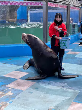ゼロ距離水族館 伊勢シーパラダイスに投稿された画像（2026/1/31）
