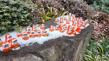 勝尾寺に投稿された画像（2026/2/1）