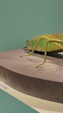 特別展「昆虫MANIAC」（名古屋会場）に投稿された画像（2026/2/1）