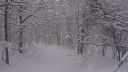 n.s rideに投稿された画像（2026/2/1）