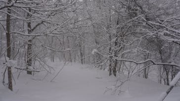 n.s rideに投稿された画像（2026/2/1）