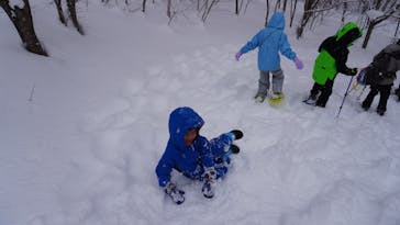 n.s rideに投稿された画像（2026/2/1）