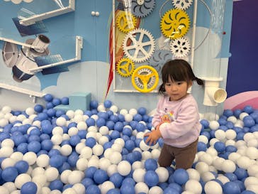 キッズランドUS 栃木宇都宮店に投稿された画像（2026/2/1）