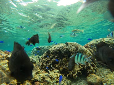 武藤潜水に投稿された画像（2026/2/1）