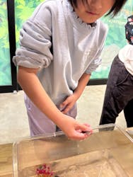 いきもの探検隊に投稿された画像（2026/2/1）