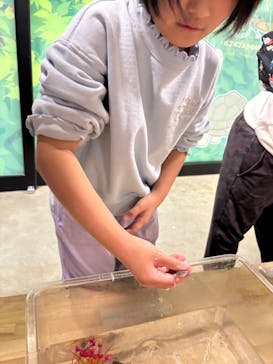 いきもの探検隊に投稿された画像（2026/2/1）