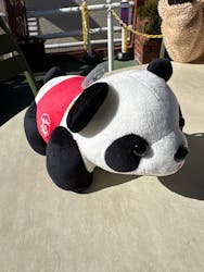 浅草花やしきに投稿された画像（2026/2/1）