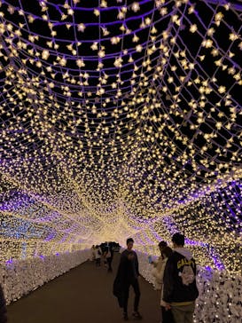 東京メガイルミに投稿された画像（2026/2/1）