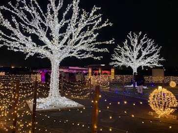 東京メガイルミに投稿された画像（2026/2/1）