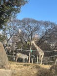 天王寺動物園に投稿された画像（2026/2/1）