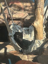 天王寺動物園に投稿された画像（2026/2/1）