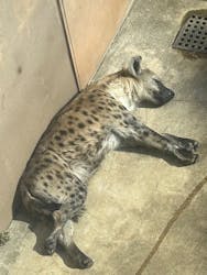 天王寺動物園に投稿された画像（2026/2/1）