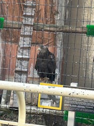 天王寺動物園に投稿された画像（2026/2/1）