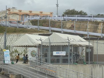 沖縄こどもの国に投稿された画像（2026/2/1）