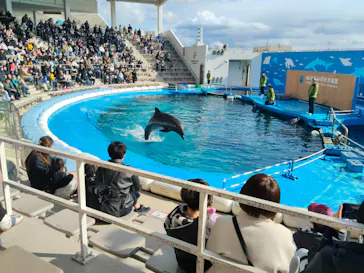 仙台うみの杜水族館に投稿された画像（2026/2/1）