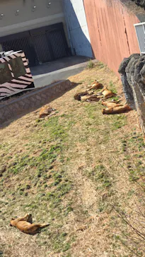 多摩動物公園に投稿された画像（2026/2/1）