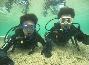 武藤潜水に投稿された画像（2026/2/1）