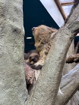 那須どうぶつ王国に投稿された画像（2026/2/1）