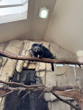 那須どうぶつ王国に投稿された画像（2026/2/1）