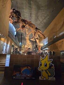 北九州市立自然史・歴史博物館（いのちのたび博物館）に投稿された画像（2026/2/1）