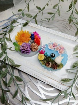 ずこうしつ〜sugamo〜に投稿された画像（2026/2/1）