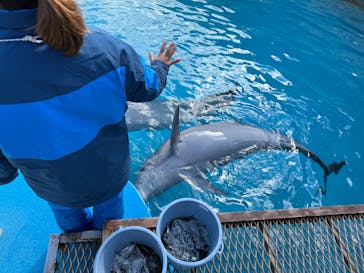 南知多ビーチランド＆南知多おもちゃ王国に投稿された画像（2026/2/1）