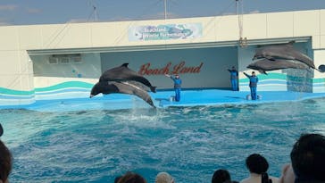 南知多ビーチランド＆南知多おもちゃ王国に投稿された画像（2026/2/1）