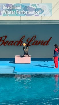 南知多ビーチランド＆南知多おもちゃ王国に投稿された画像（2026/2/1）