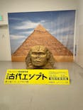 ブルックリン博物館所蔵 特別展 古代エジプト ー掘り起こせ、三千年の謎― 福岡会場に投稿された画像（2026/2/1）