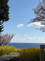 ニューヨークランプミュージアム＆フラワーガーデンに投稿された画像（2026/2/1）