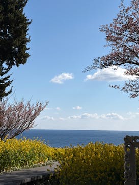 ニューヨークランプミュージアム＆フラワーガーデンに投稿された画像（2026/2/1）