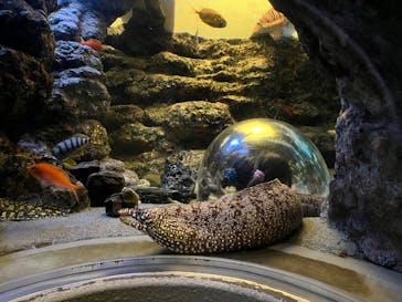 名古屋港水族館に投稿された画像（2026/2/1）