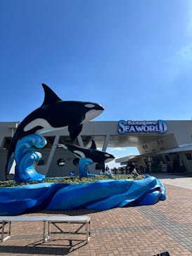 鴨川シーワールドに投稿された画像（2026/2/1）