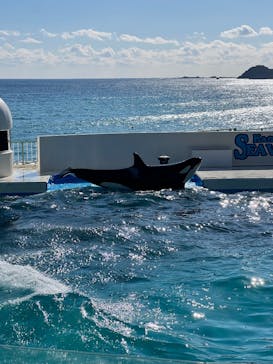 鴨川シーワールドに投稿された画像（2026/2/1）