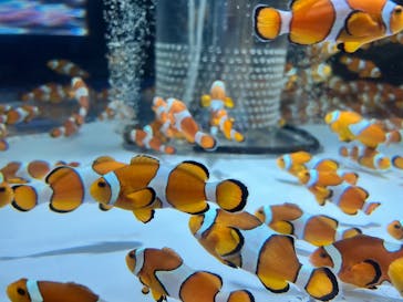 鴨川シーワールドに投稿された画像（2026/2/1）