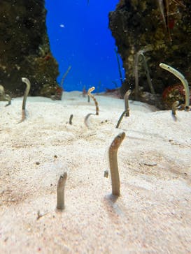 鴨川シーワールドに投稿された画像（2026/2/1）