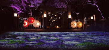 ぎふ灯り物語 ２０２６に投稿された画像（2026/2/1）