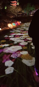 ぎふ灯り物語 ２０２６に投稿された画像（2026/2/1）